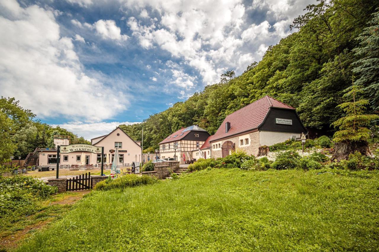 Pension Walkmuehle Sangerhausen Exterior photo